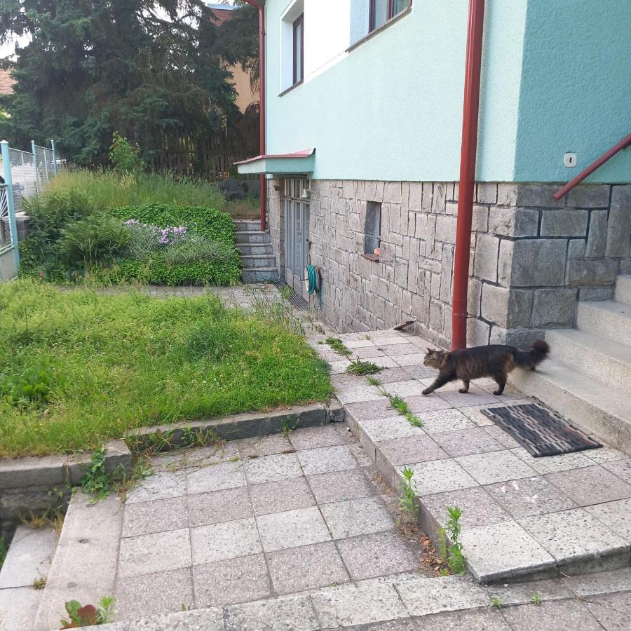 Apartment In The City Of Pilsen Bozkov Екстериор снимка