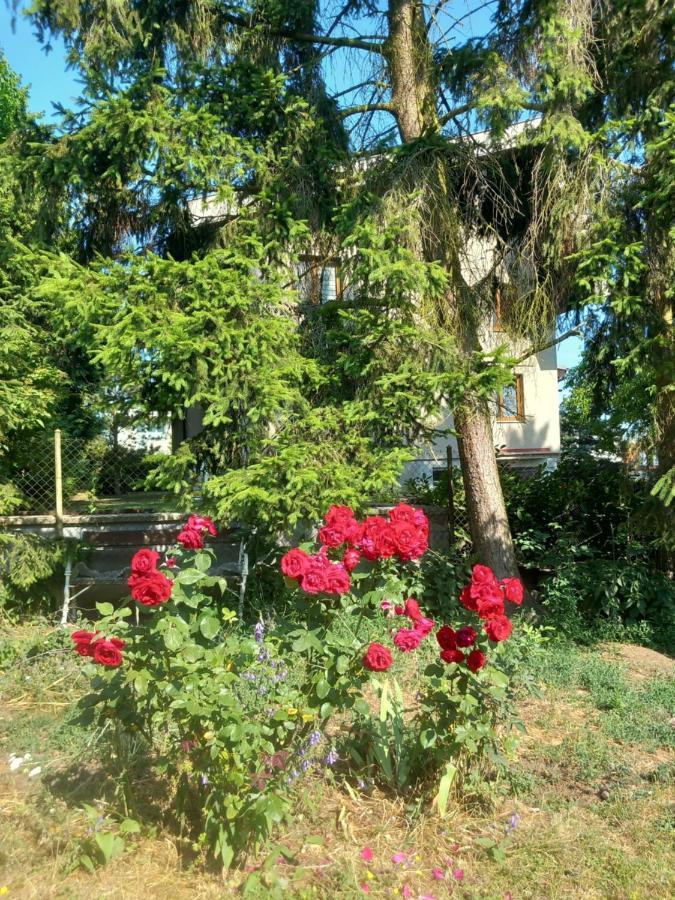 Apartment In The City Of Pilsen Bozkov Екстериор снимка